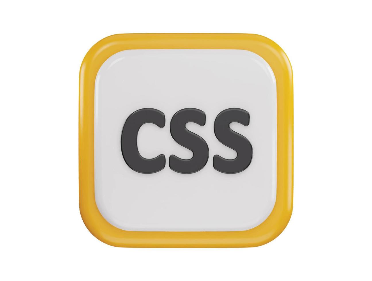 CSS